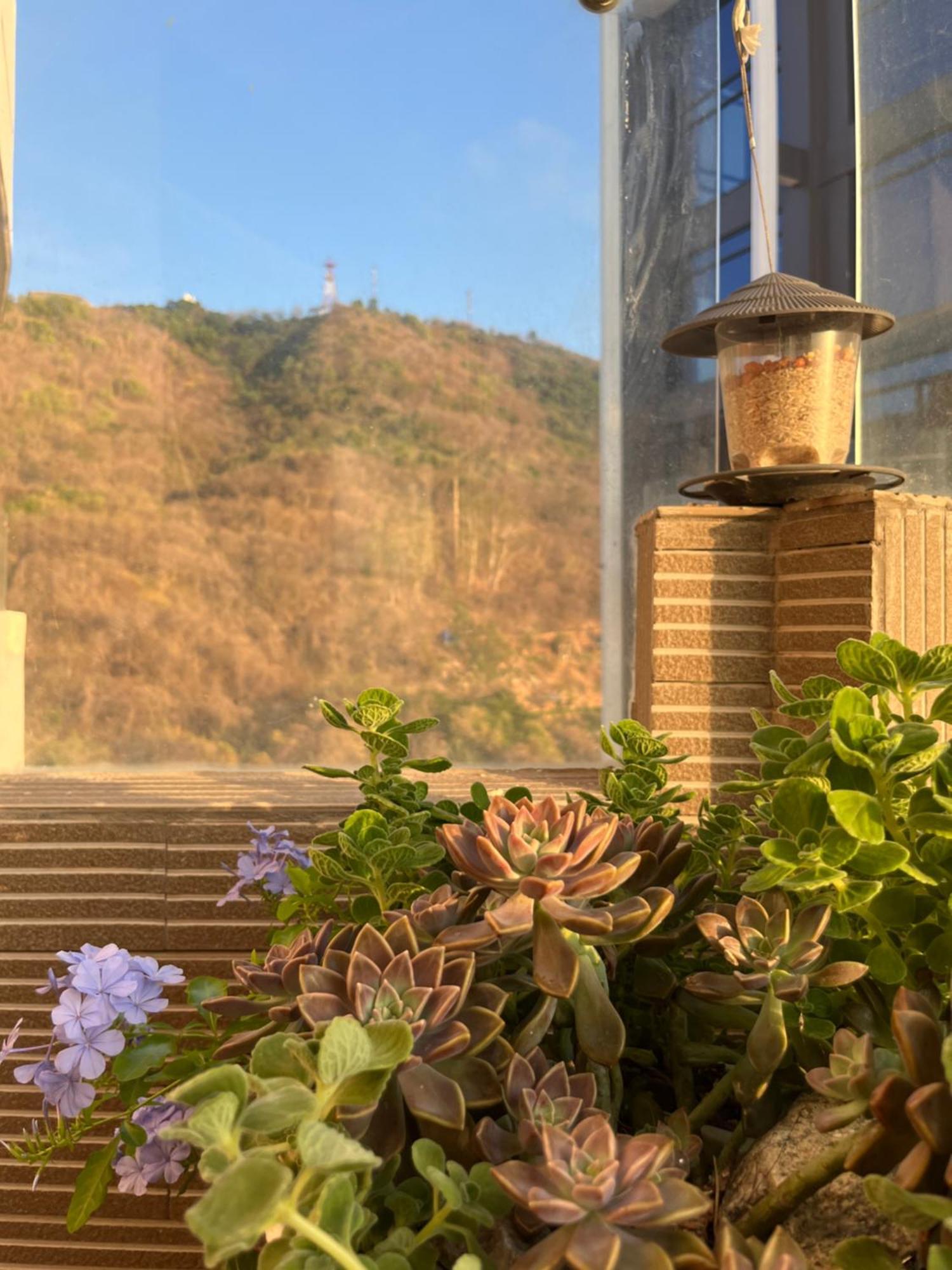 Thuy Tien Seaview -1602 Apartment
