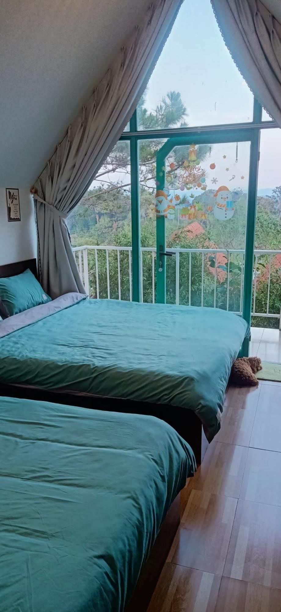 Paradiso Măng đen Ở trọ Kon Von Kla