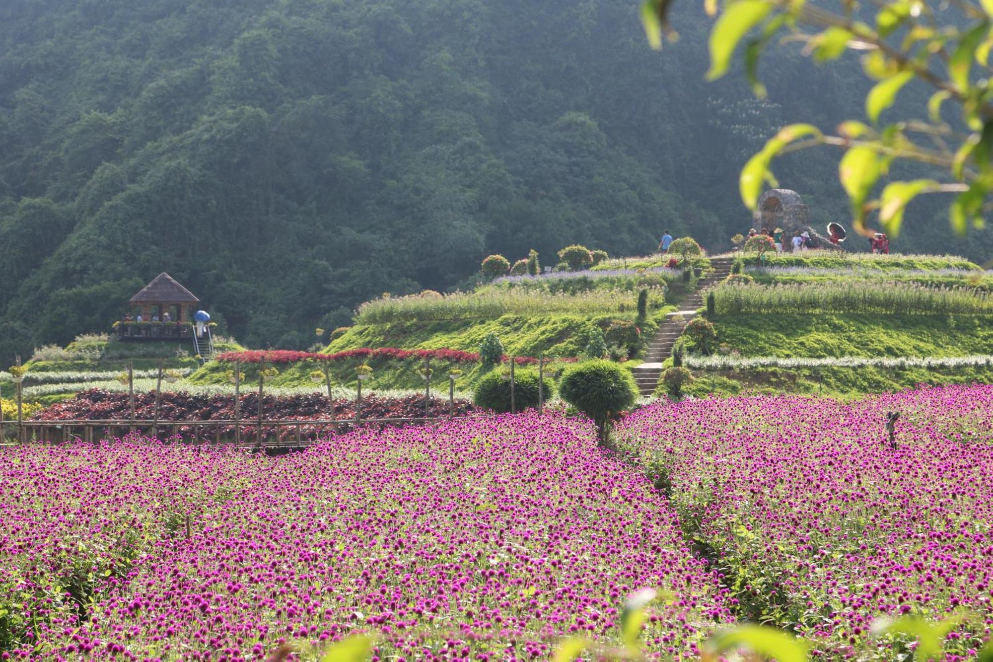 Thung Nham 3* Ninh Bình