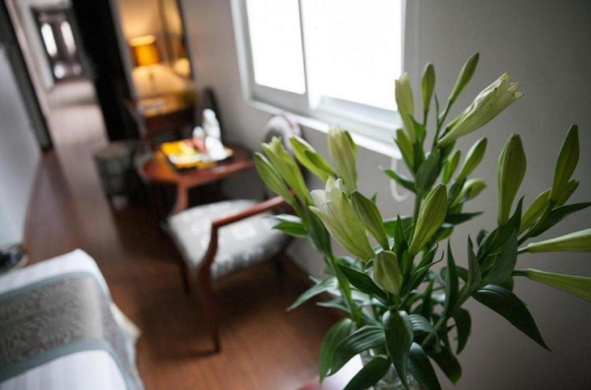 Hotel Skylark Boutique 4*