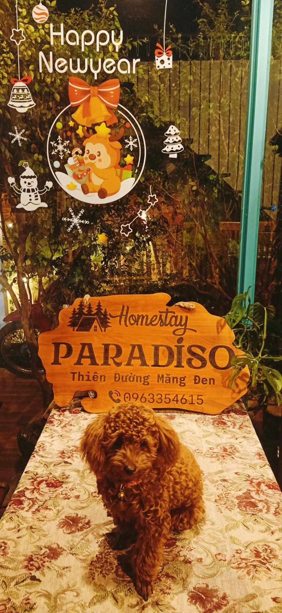 Paradiso Măng đen * Kon Von Kla