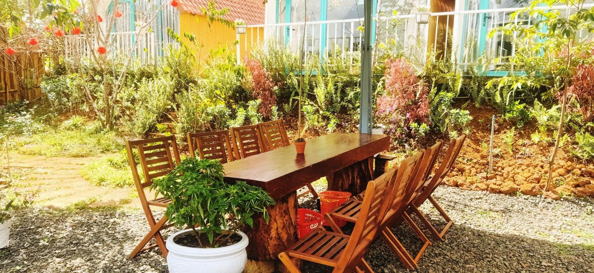 Paradiso Măng đen Ở trọ *