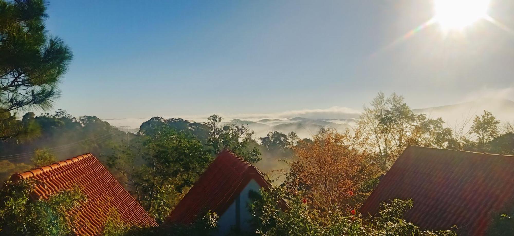 Paradiso Măng đen Ở trọ *