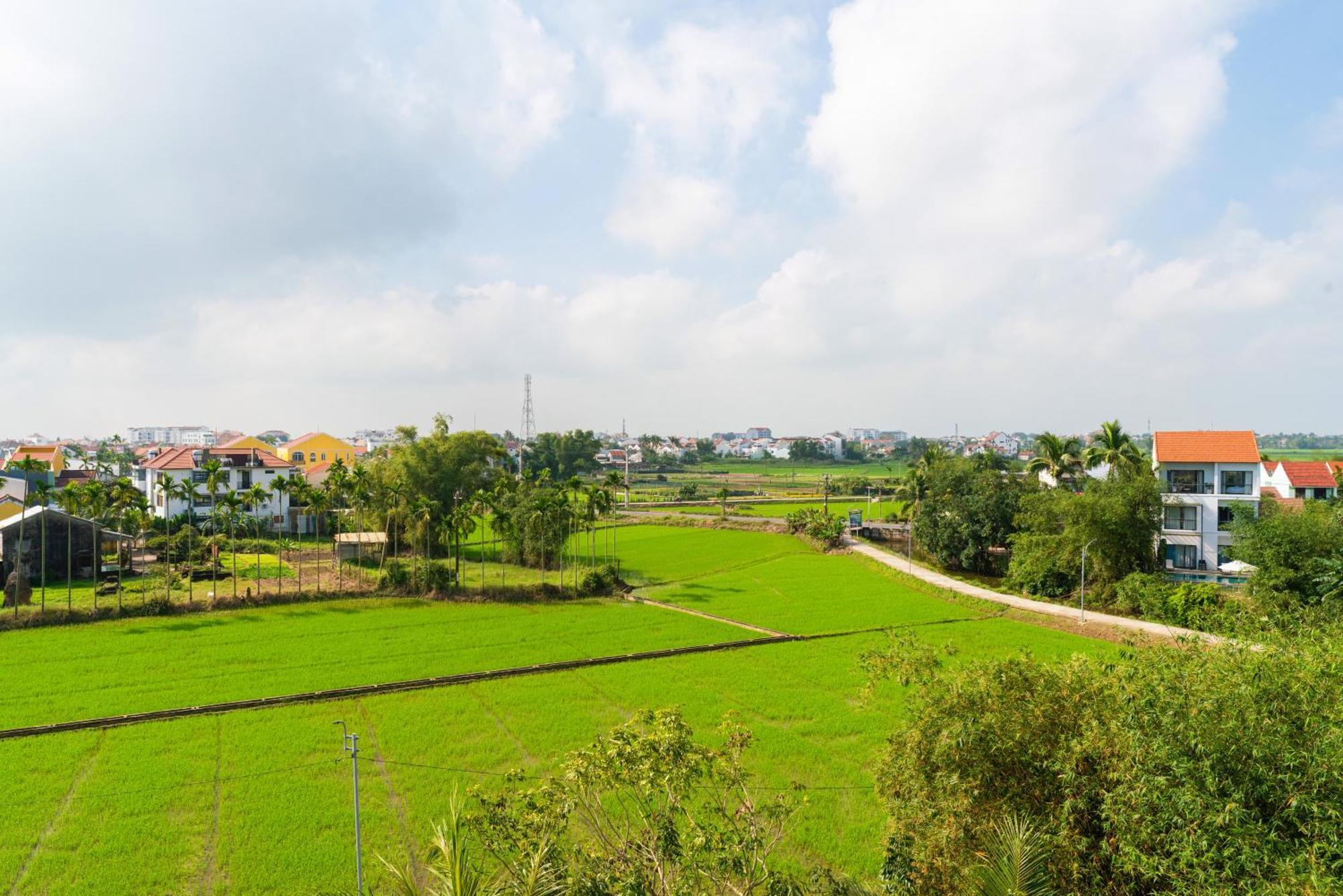Hoi An Pinus Boutique Hotel