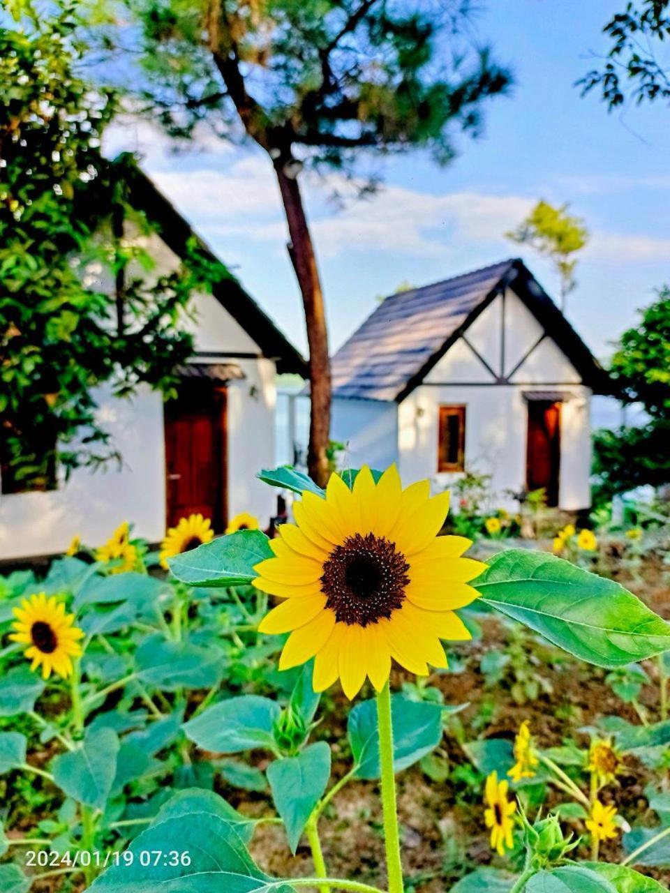 Phu Ninh & Resort *
