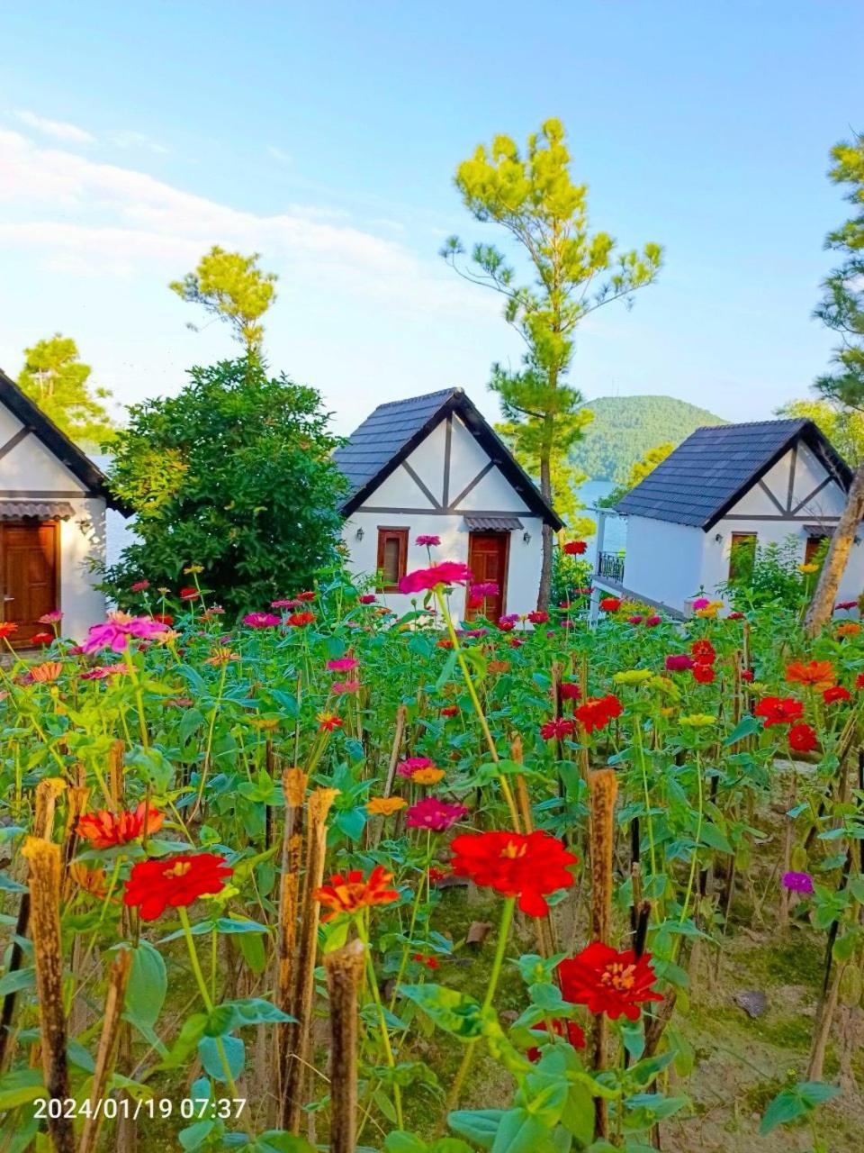 Resort Phu Ninh & Tam Ky