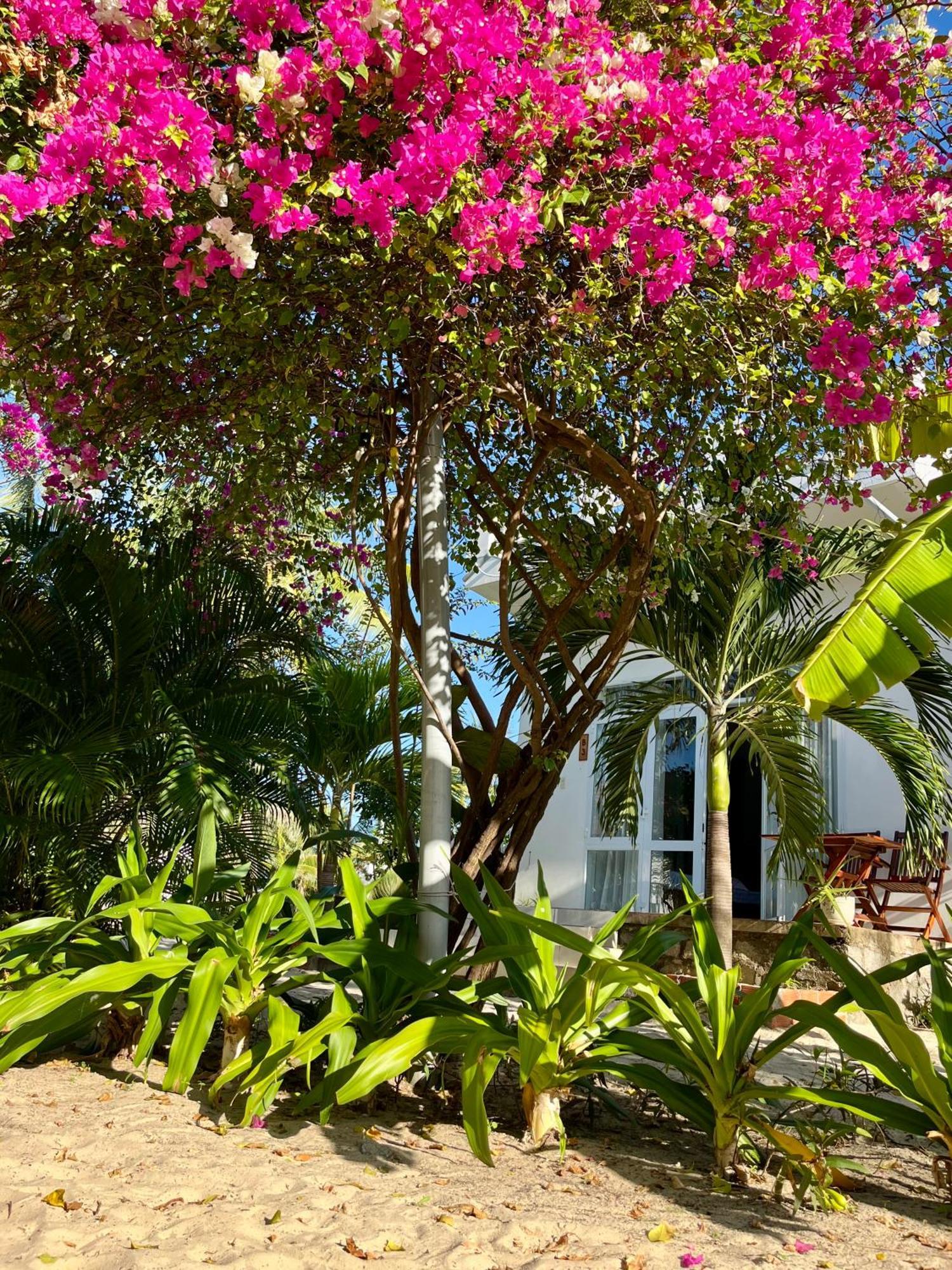 Timothe Bungalow *