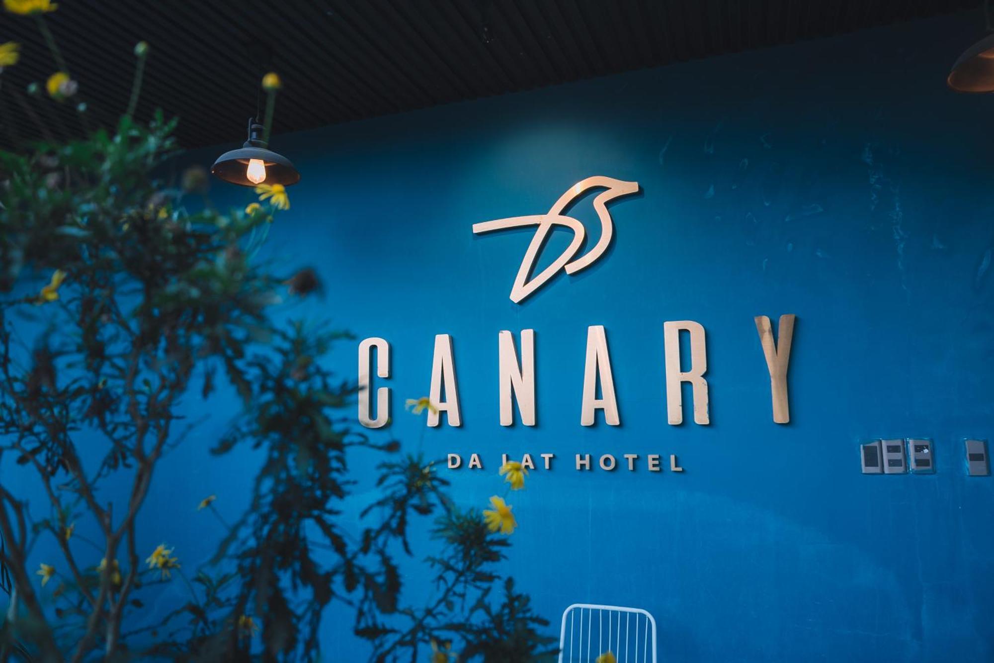Canary Hotel 3*