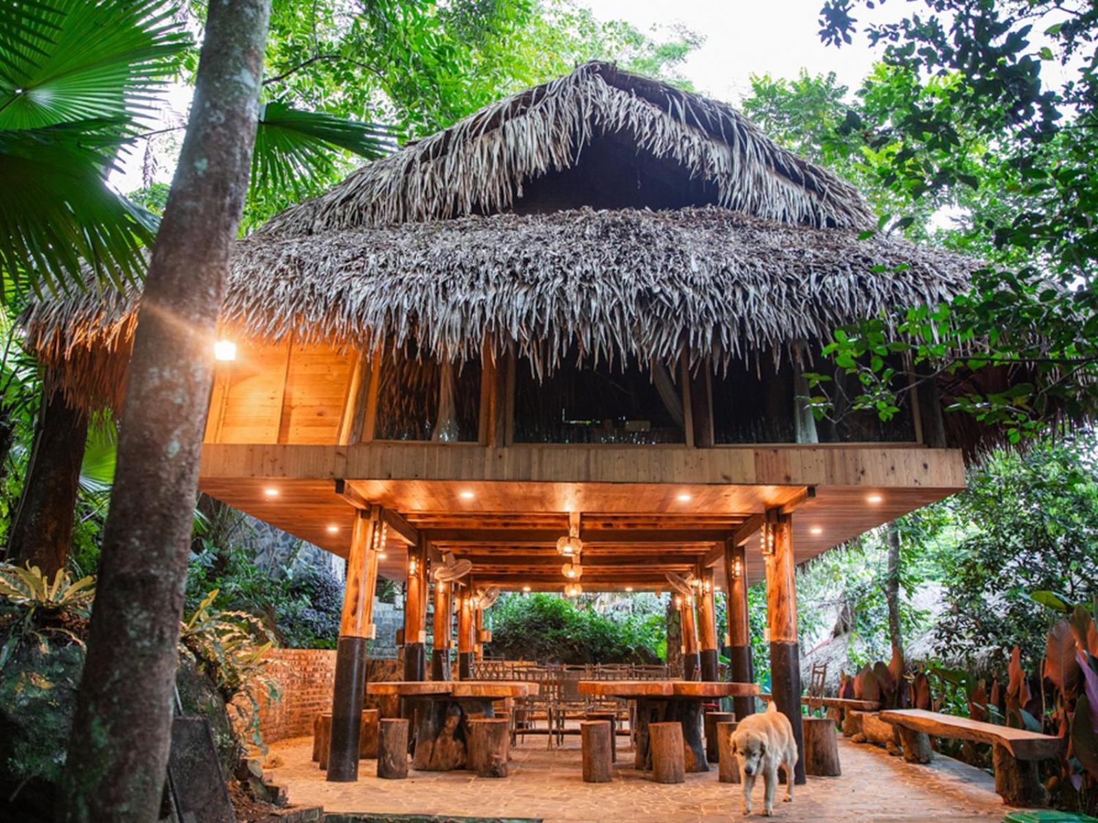 Jungle Resort