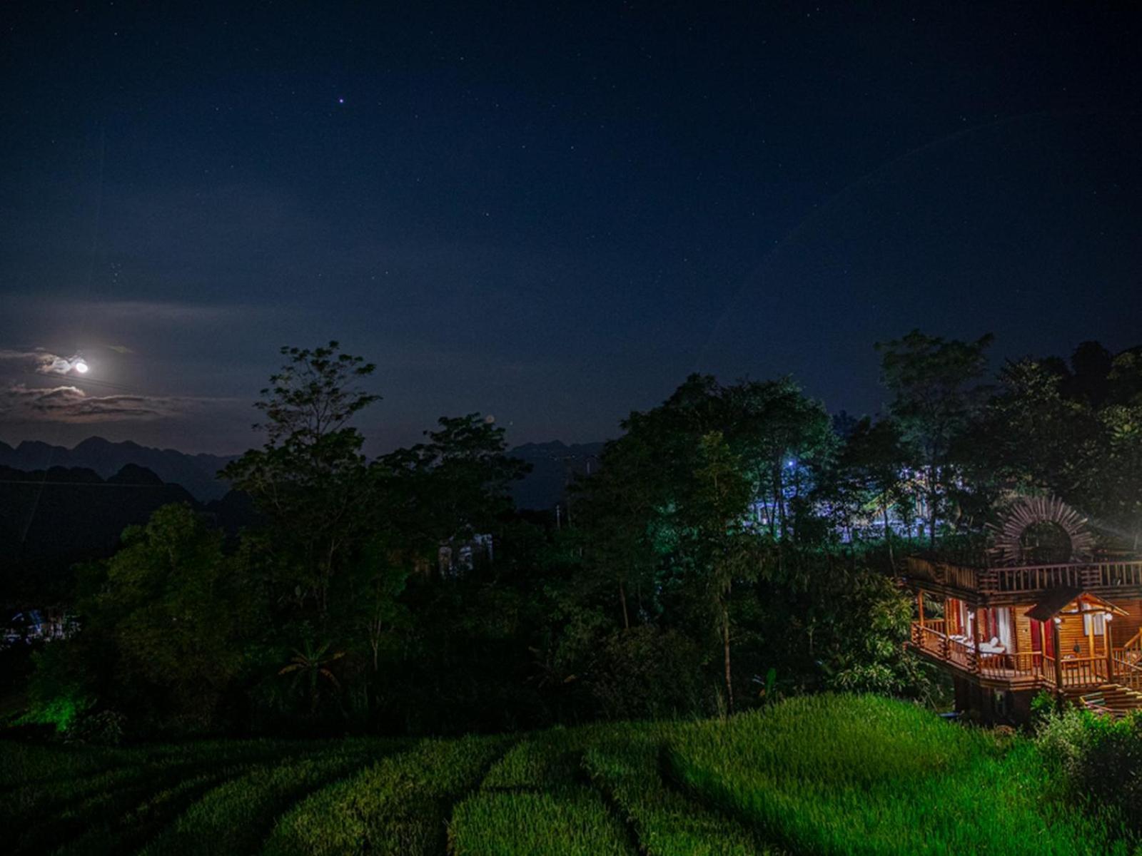 Jungle Resort 4*