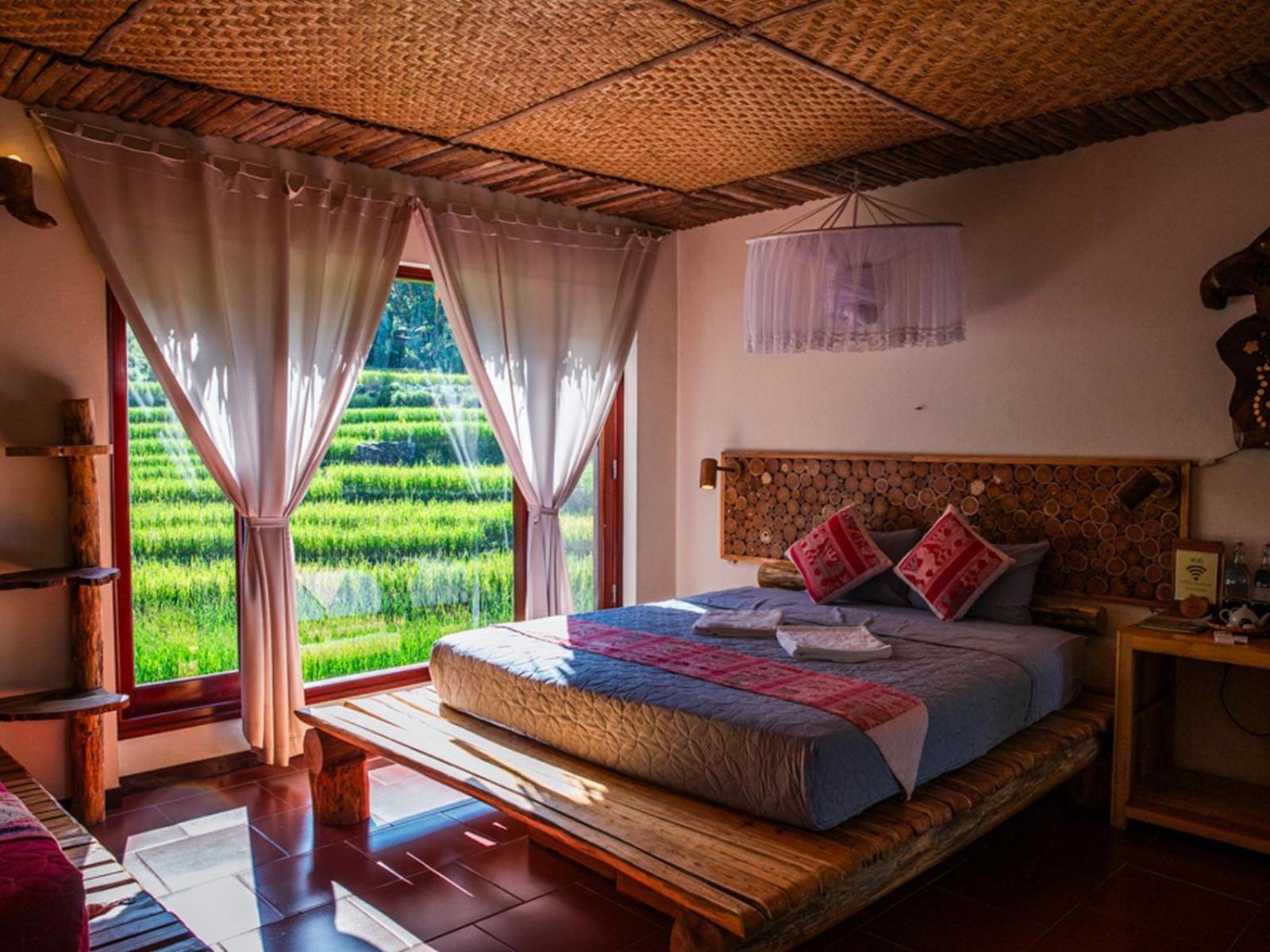 Jungle Resort