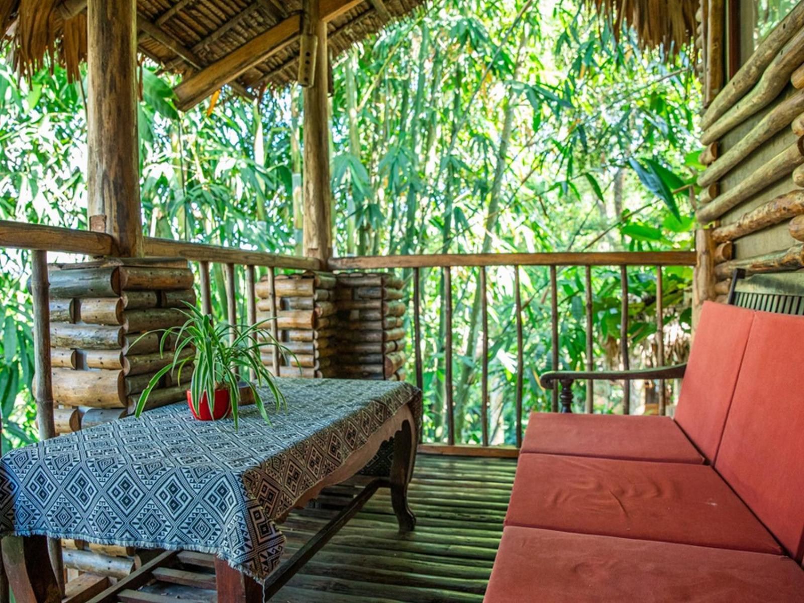 Jungle