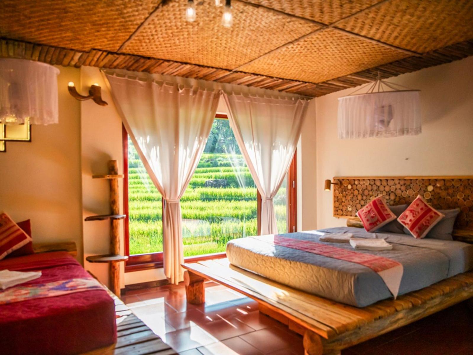 Jungle Resort
