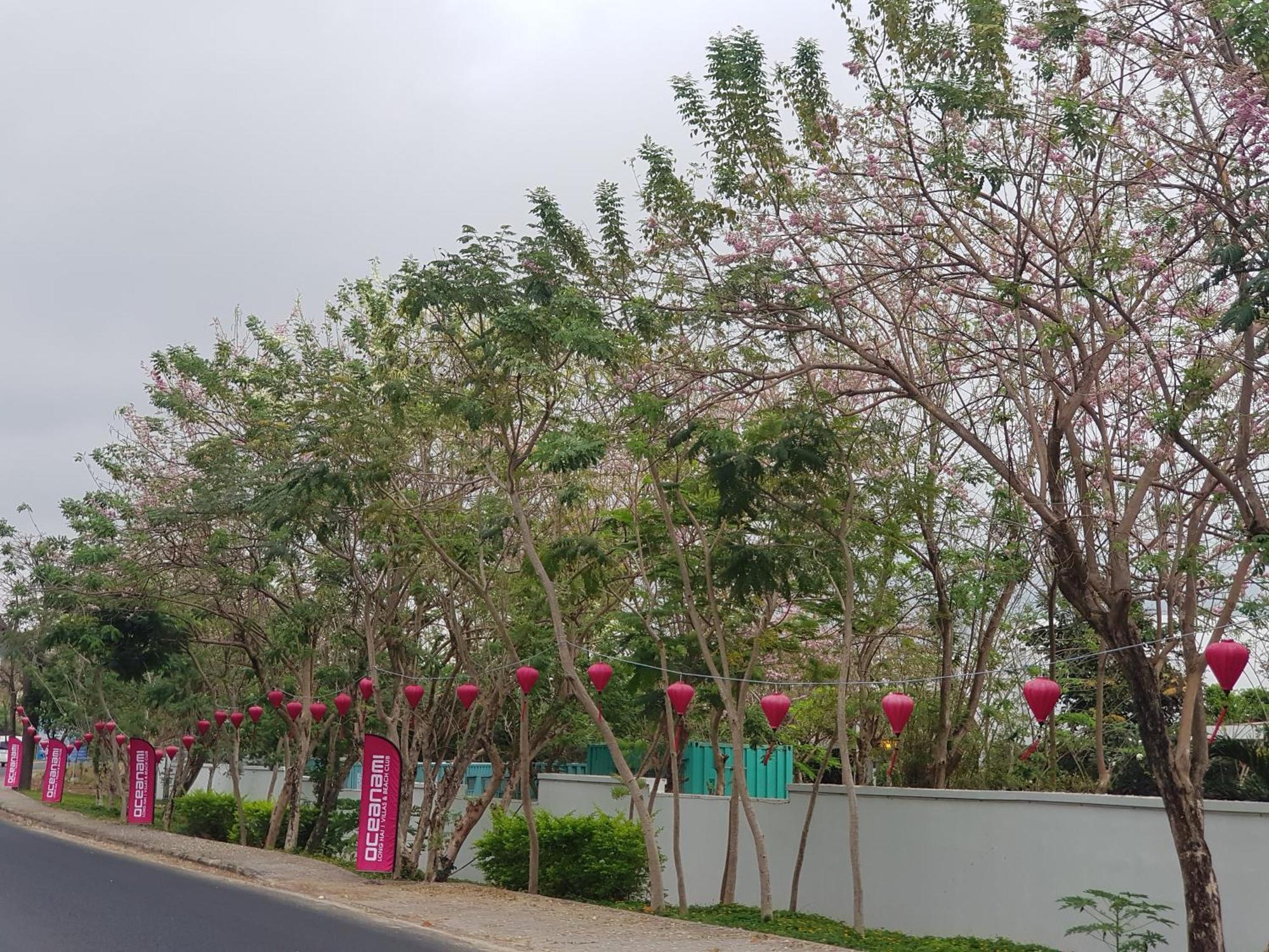 Oceanami Sea View Villa Long Hai