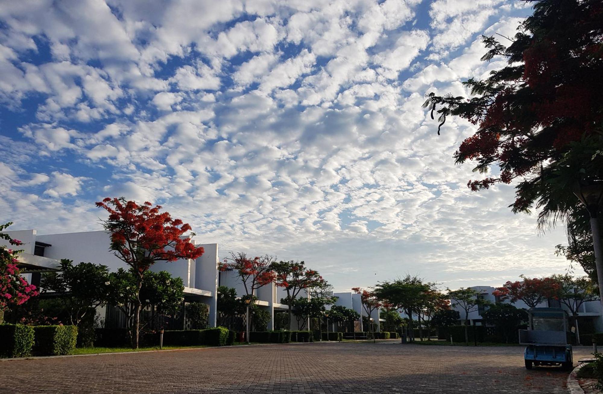 Oceanami Sea View Villa Long Hai
