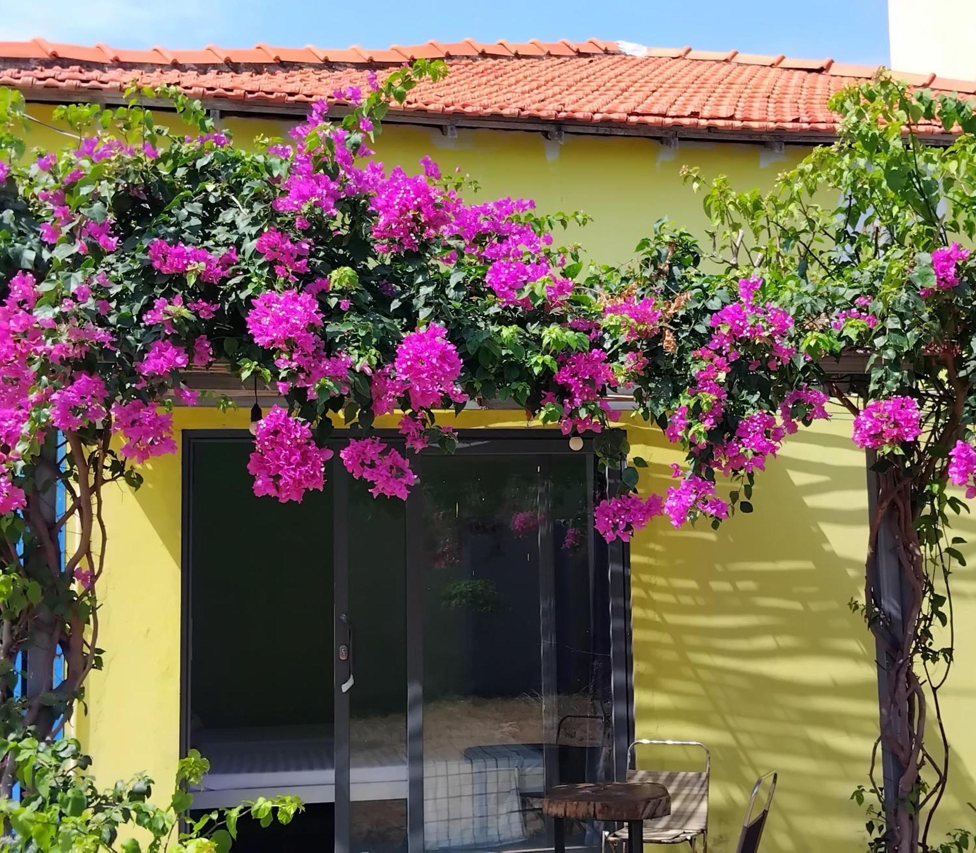 Chunlii Homestay