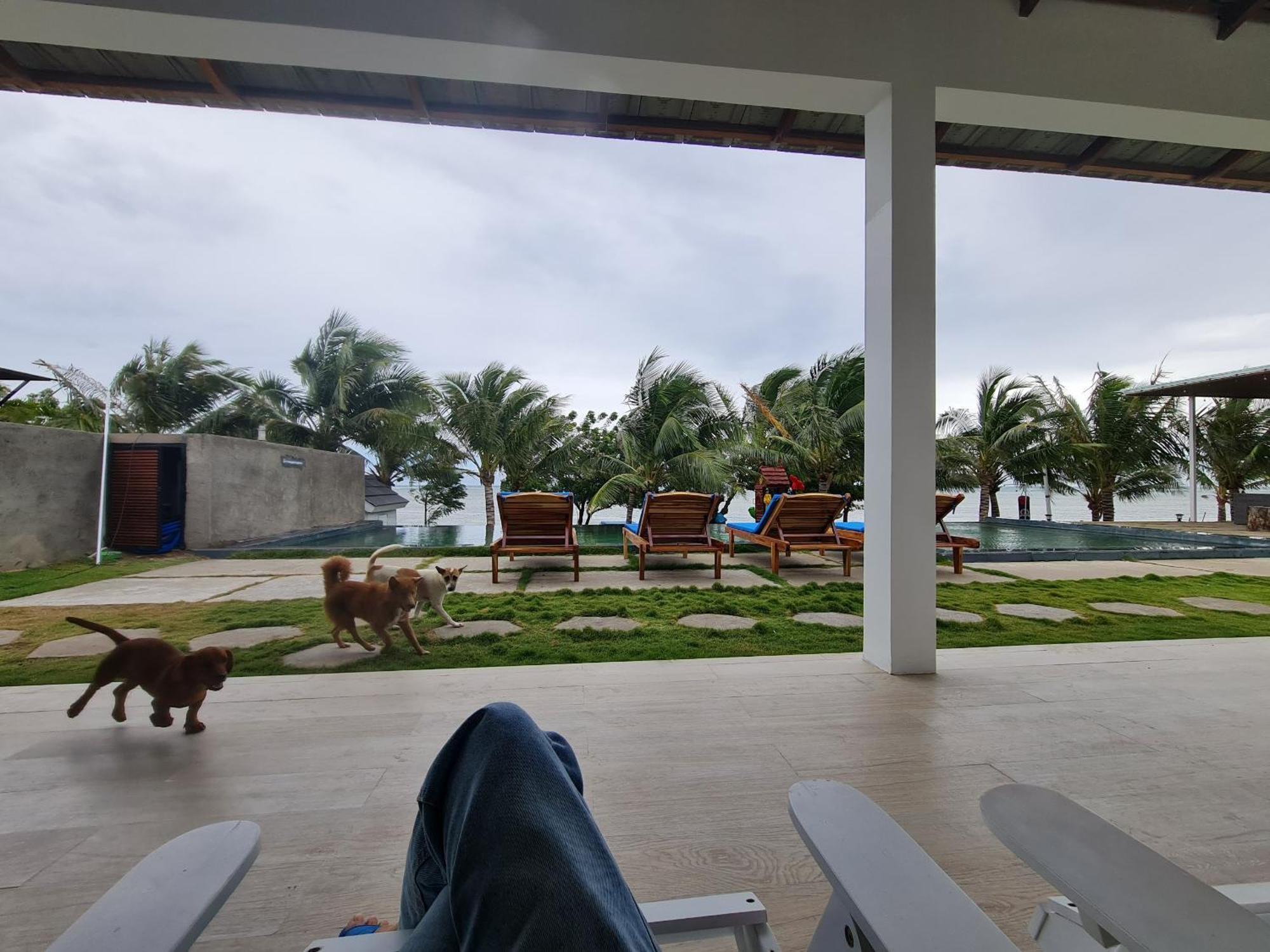 Myhoa Lagoon - Kiting Town