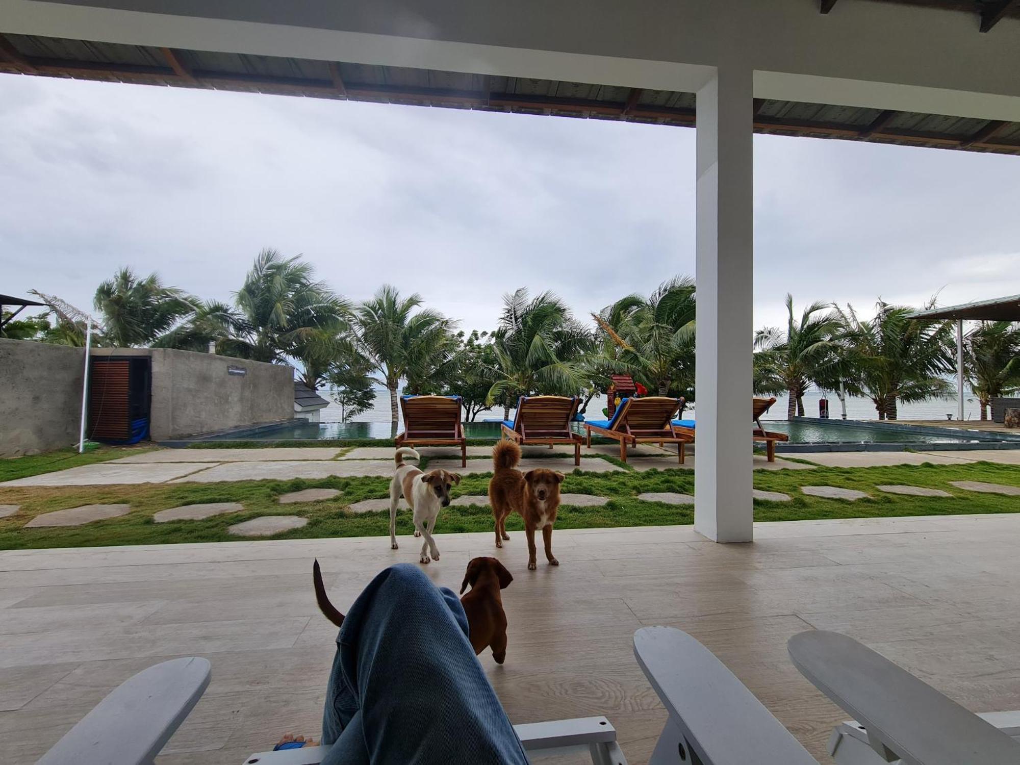 Hotel Myhoa Lagoon - Kiting Town