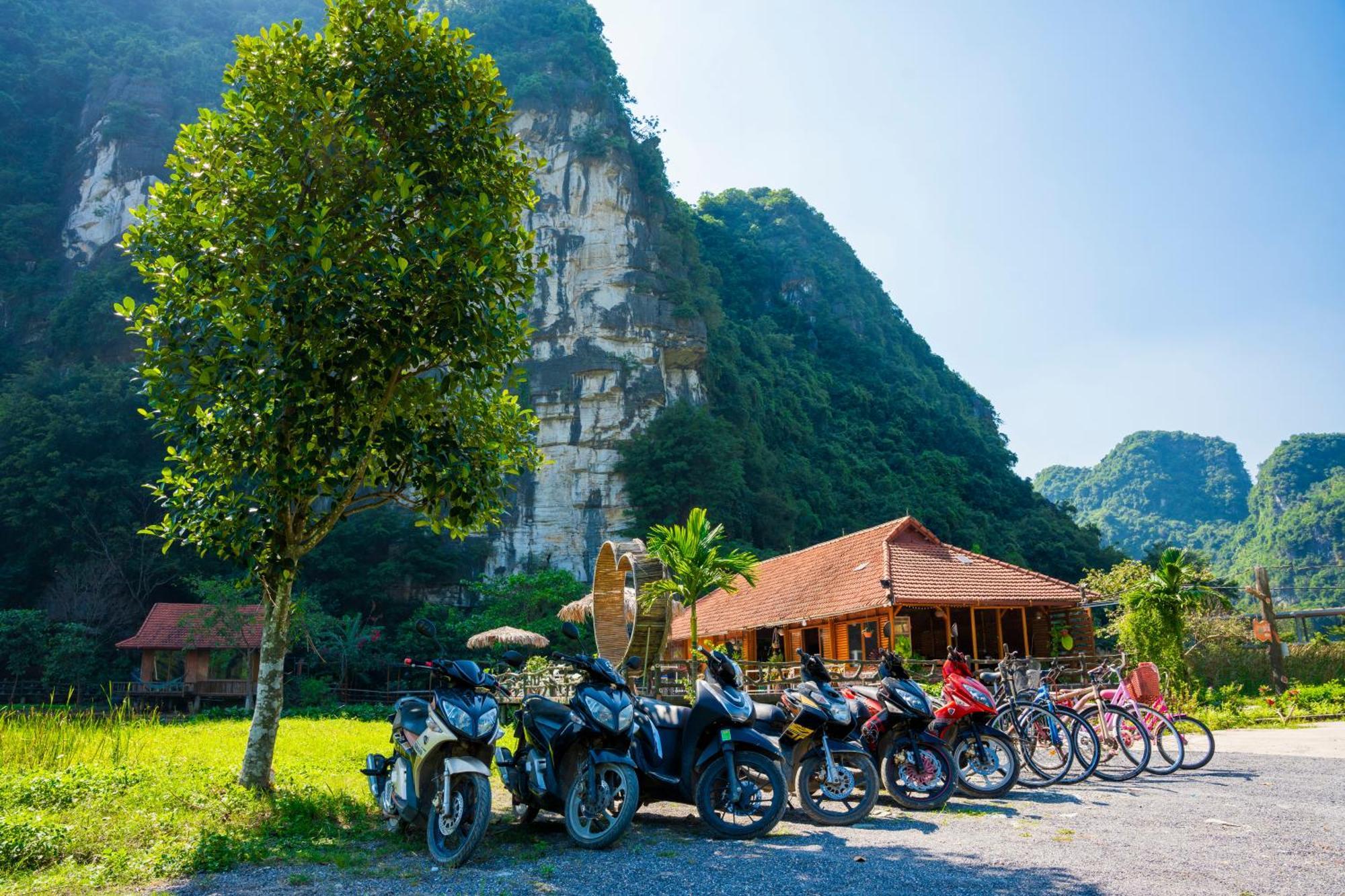 Lotus Field Homestay *