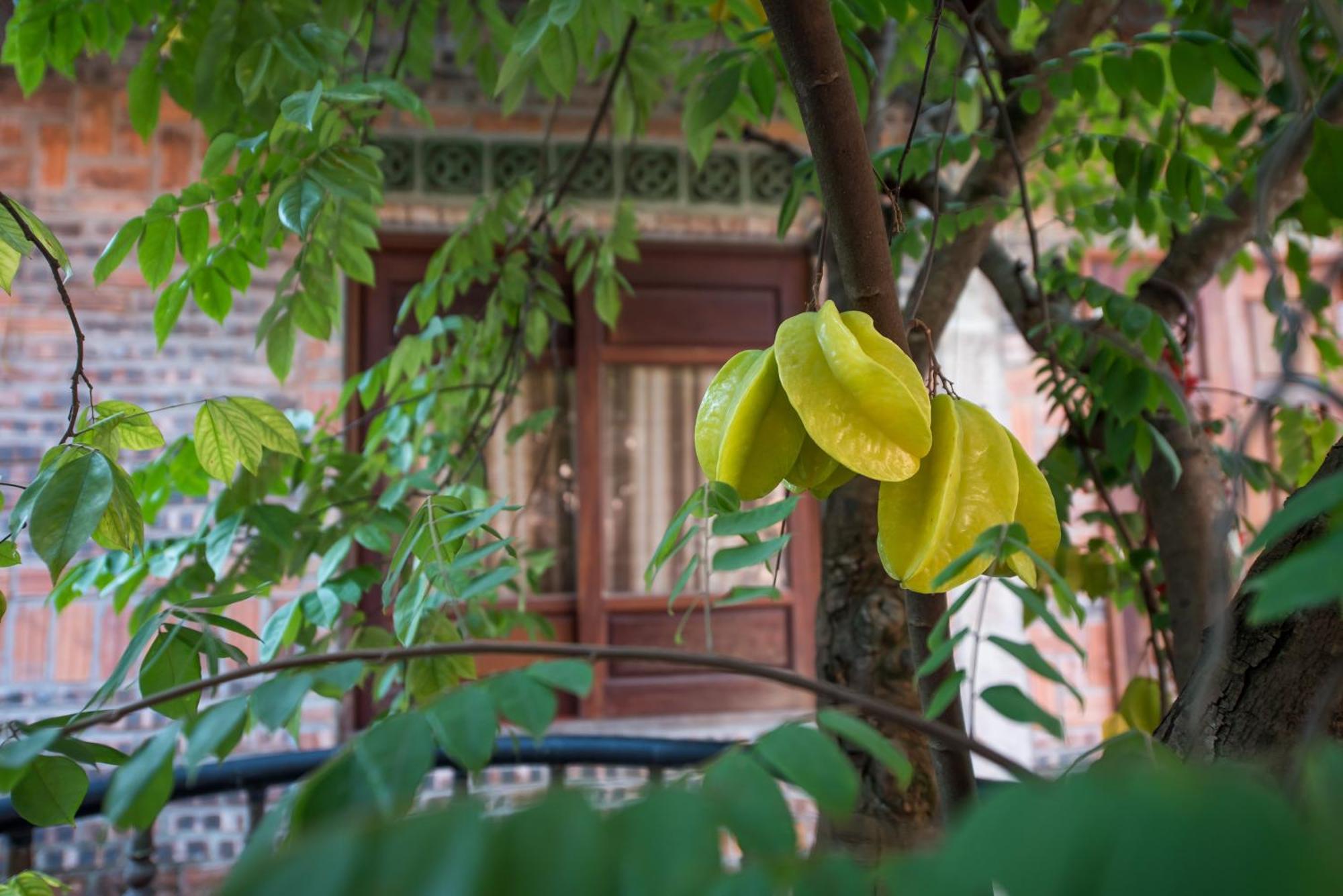 Hotel Littletamcoc Boutique