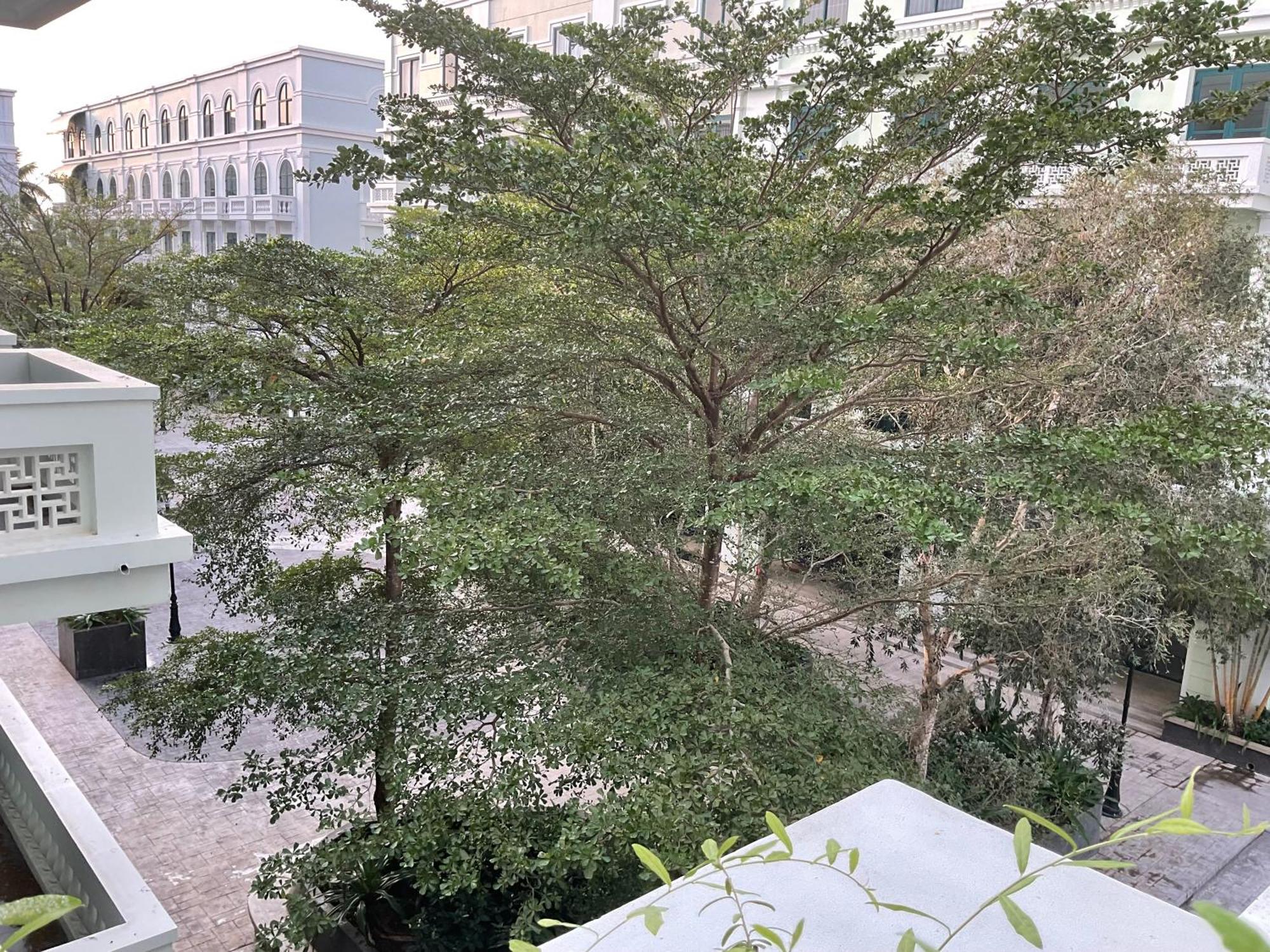 Green Inn Phu Quoc Hotel 3*