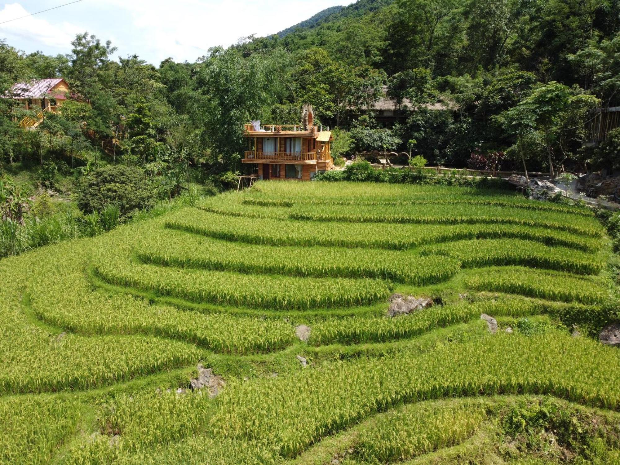 Jungle Resort