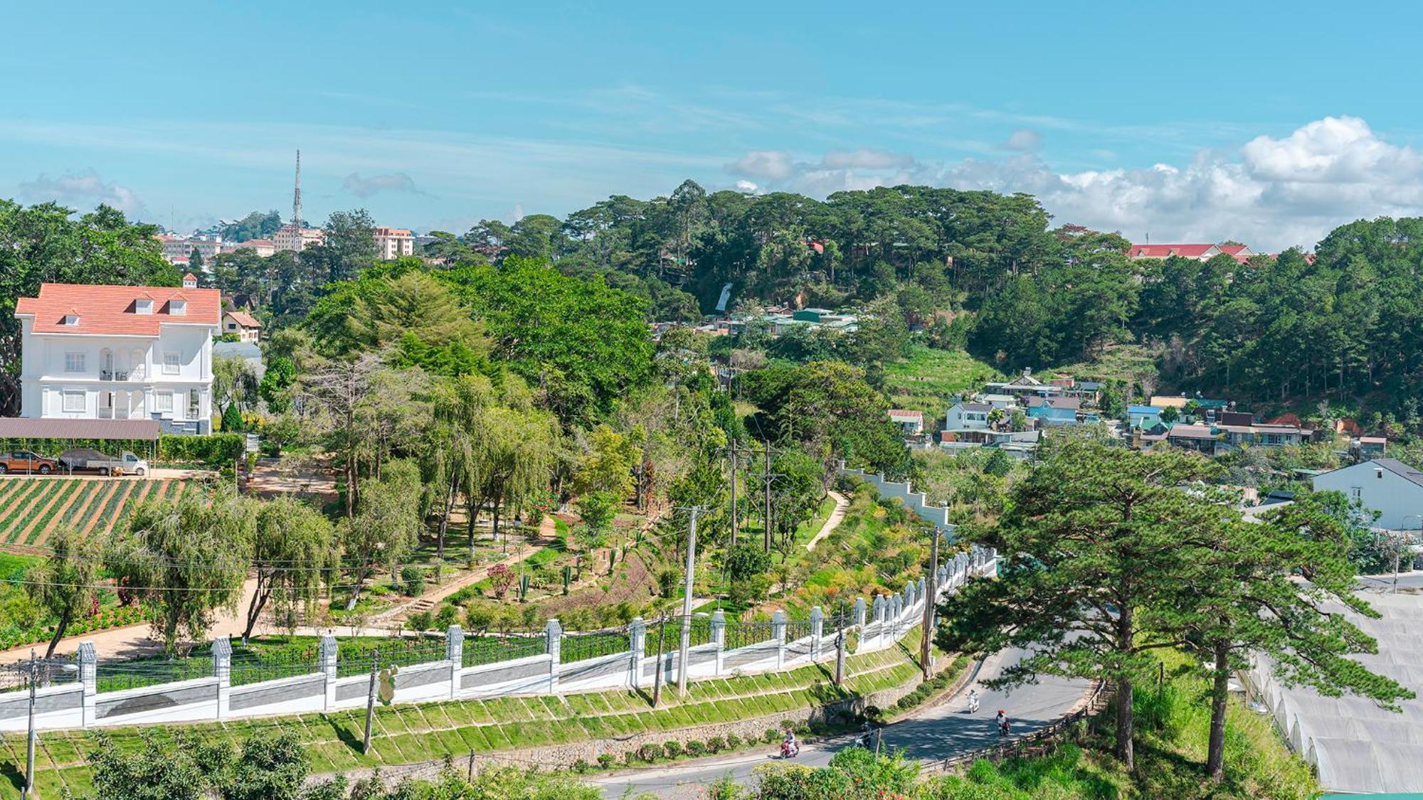 Pine View Đà Lạt