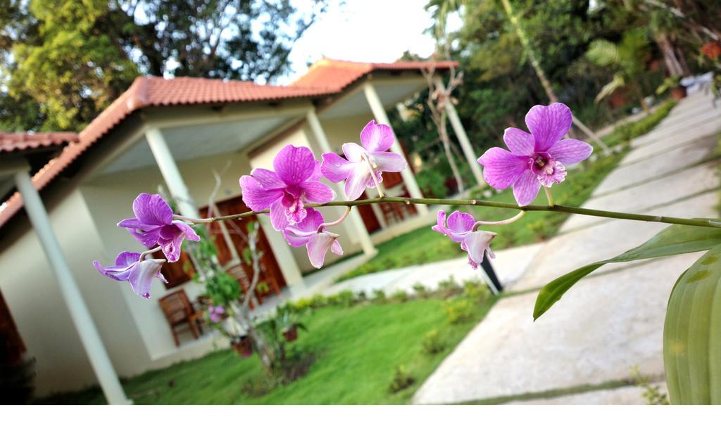 Guest house Highland
