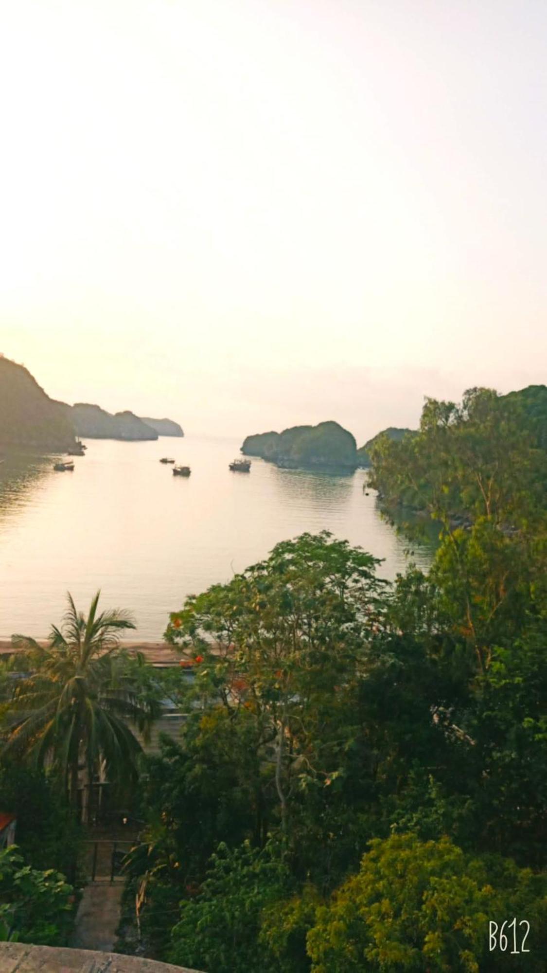 Homestay Cat Ba New City