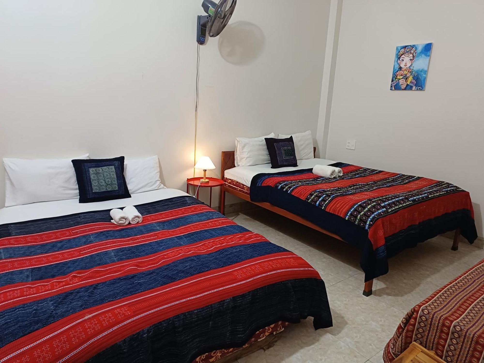 Yolo House And Loop Tours 3*