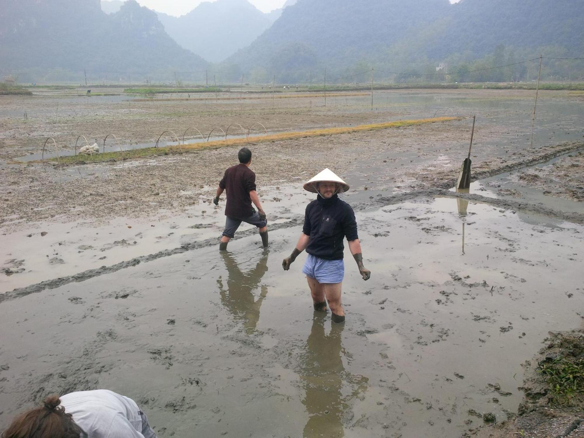 Tam Coc Rice Fields 3*