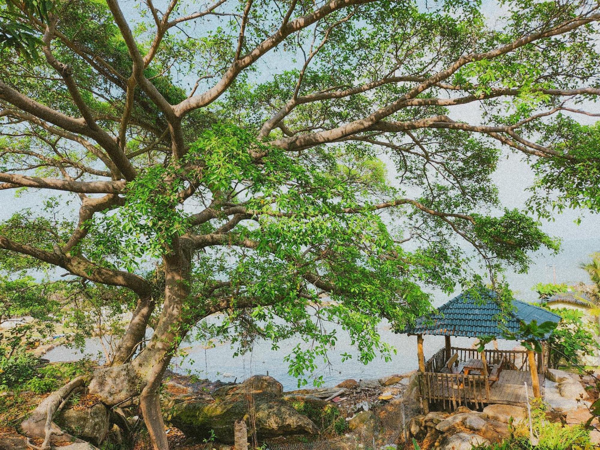 Resort Voyage Beach
