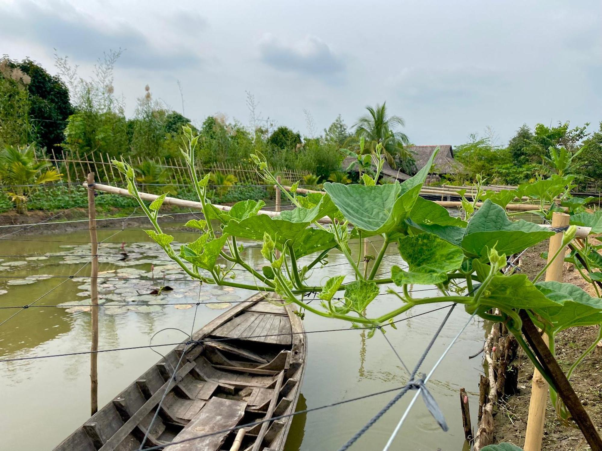 Mekong Silt Cần Thơ