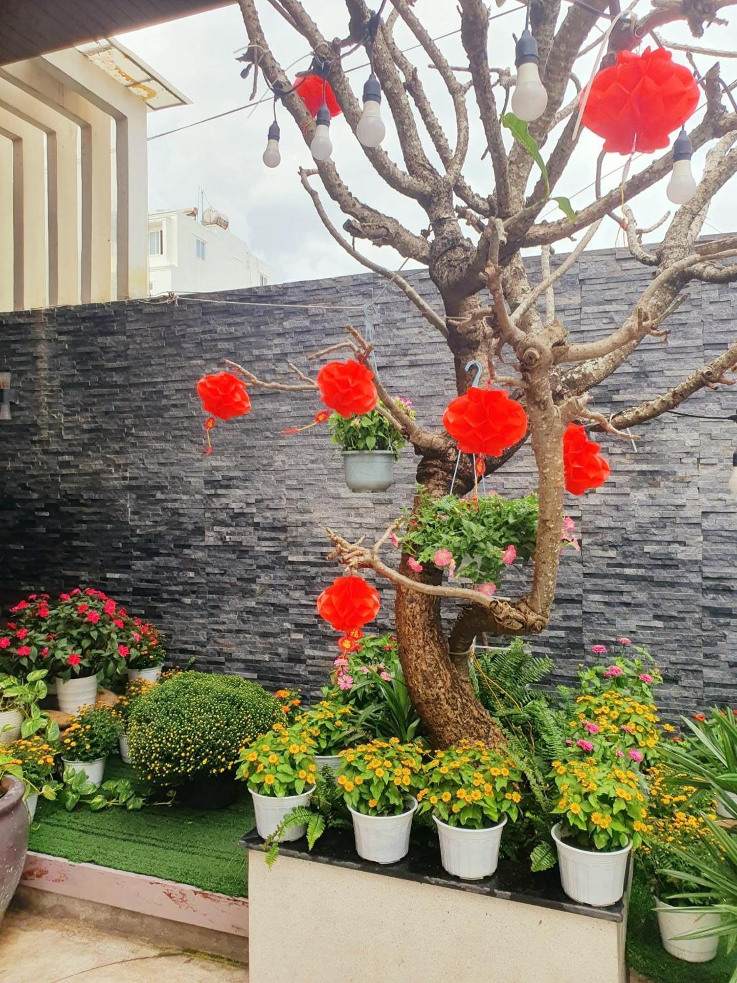 Animor 3* Đà Nẵng