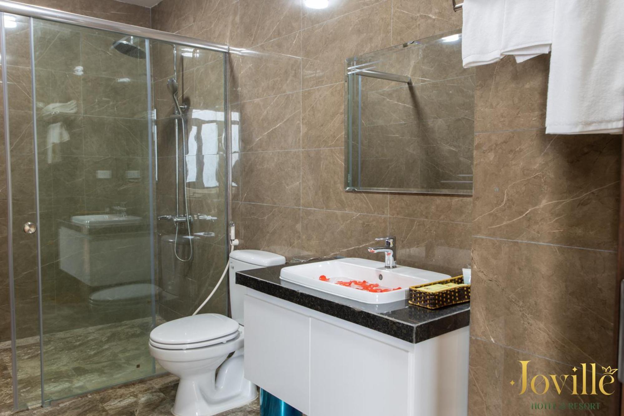 Hotel Joville 4*
