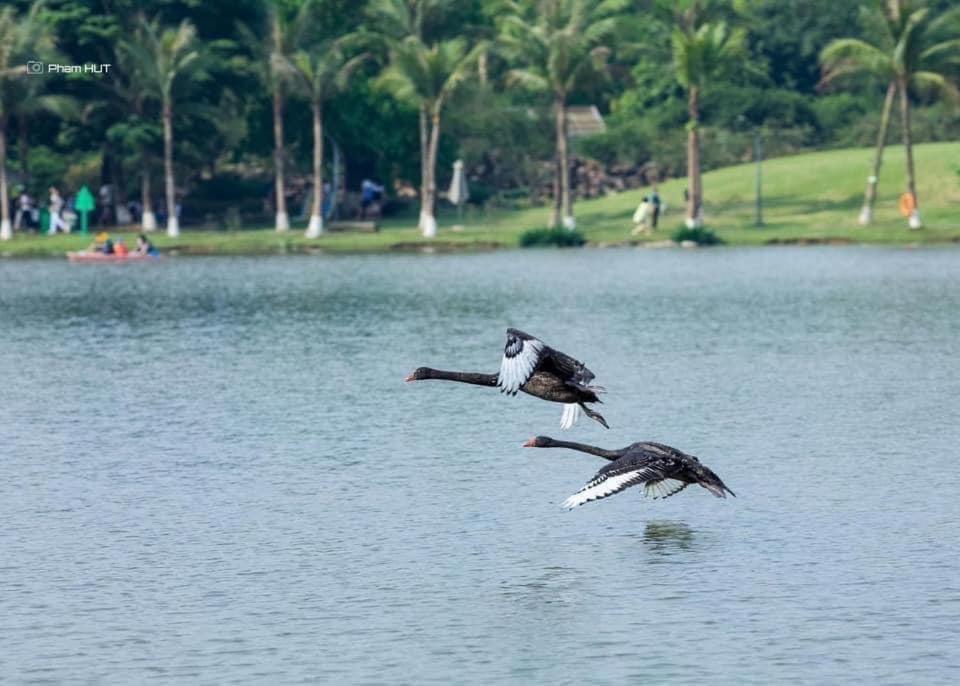 Ecopark Happy Haven Hung Yen