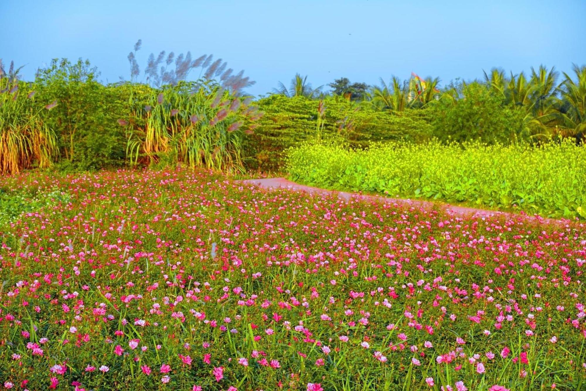 Ecopark Happy Haven * Hung Yen