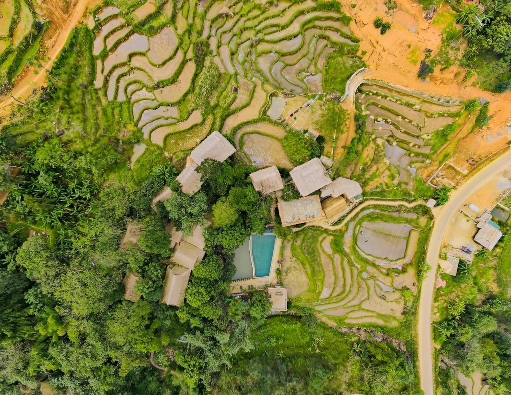 Jungle Pu Luong