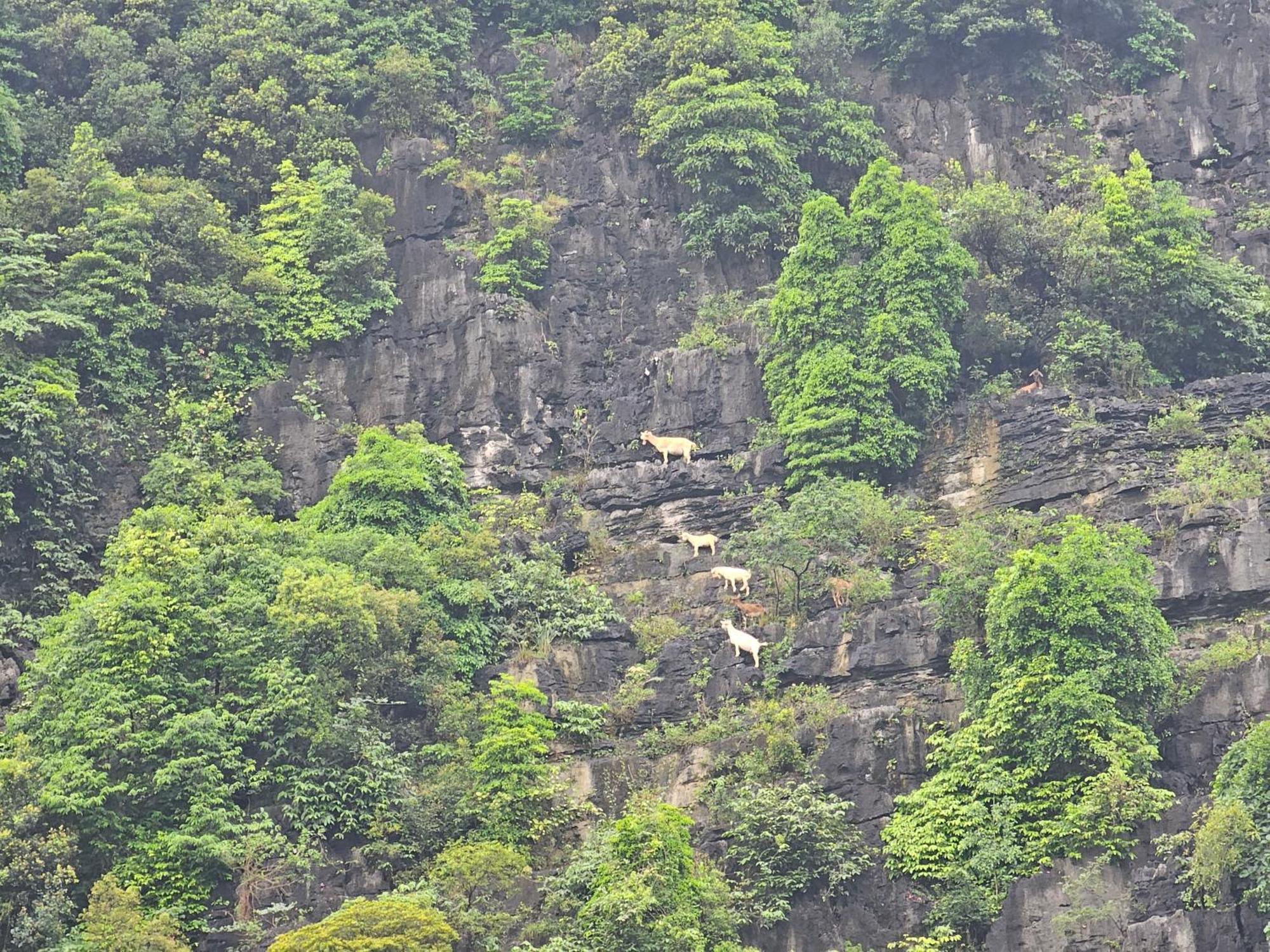 Fairy Mountain Retreat * Ninh Binh