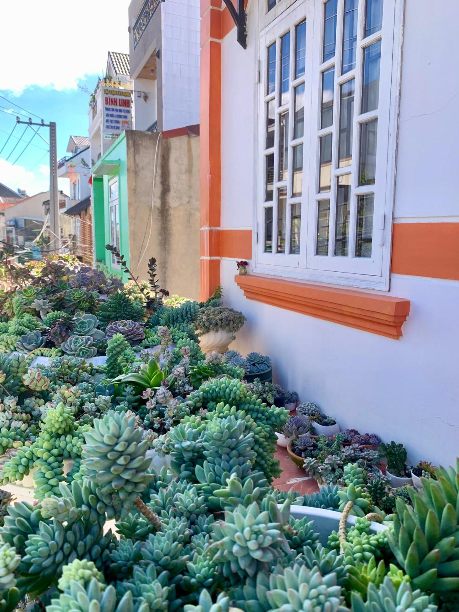 Homestay Ahihi Da Lat