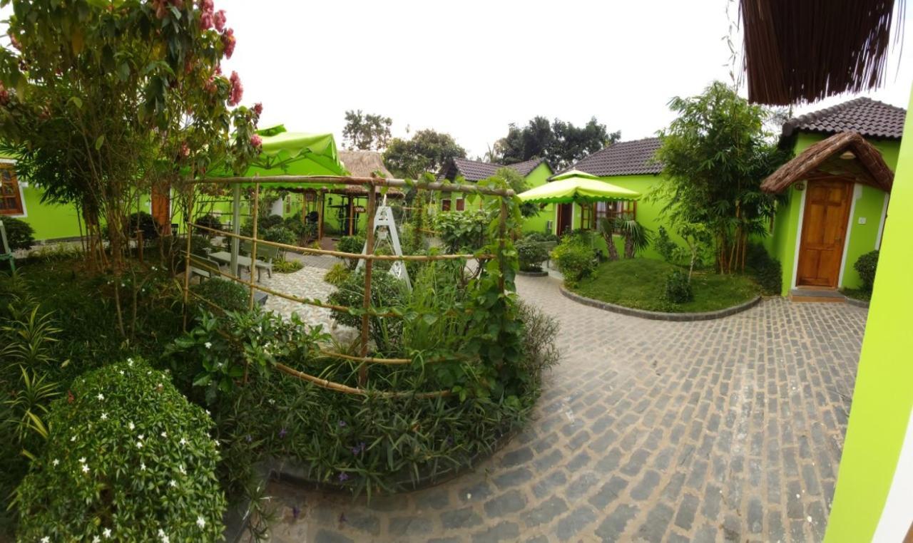 Resort Bamboo