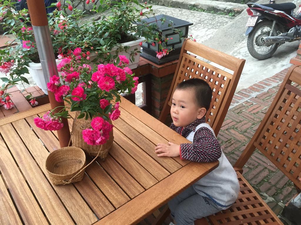 Thai Binh Sa Pa
