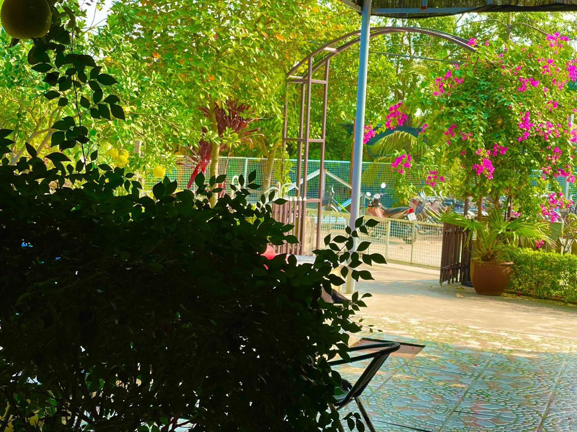 Tam Coc Eco Field Homes Lodge Ninh Binh