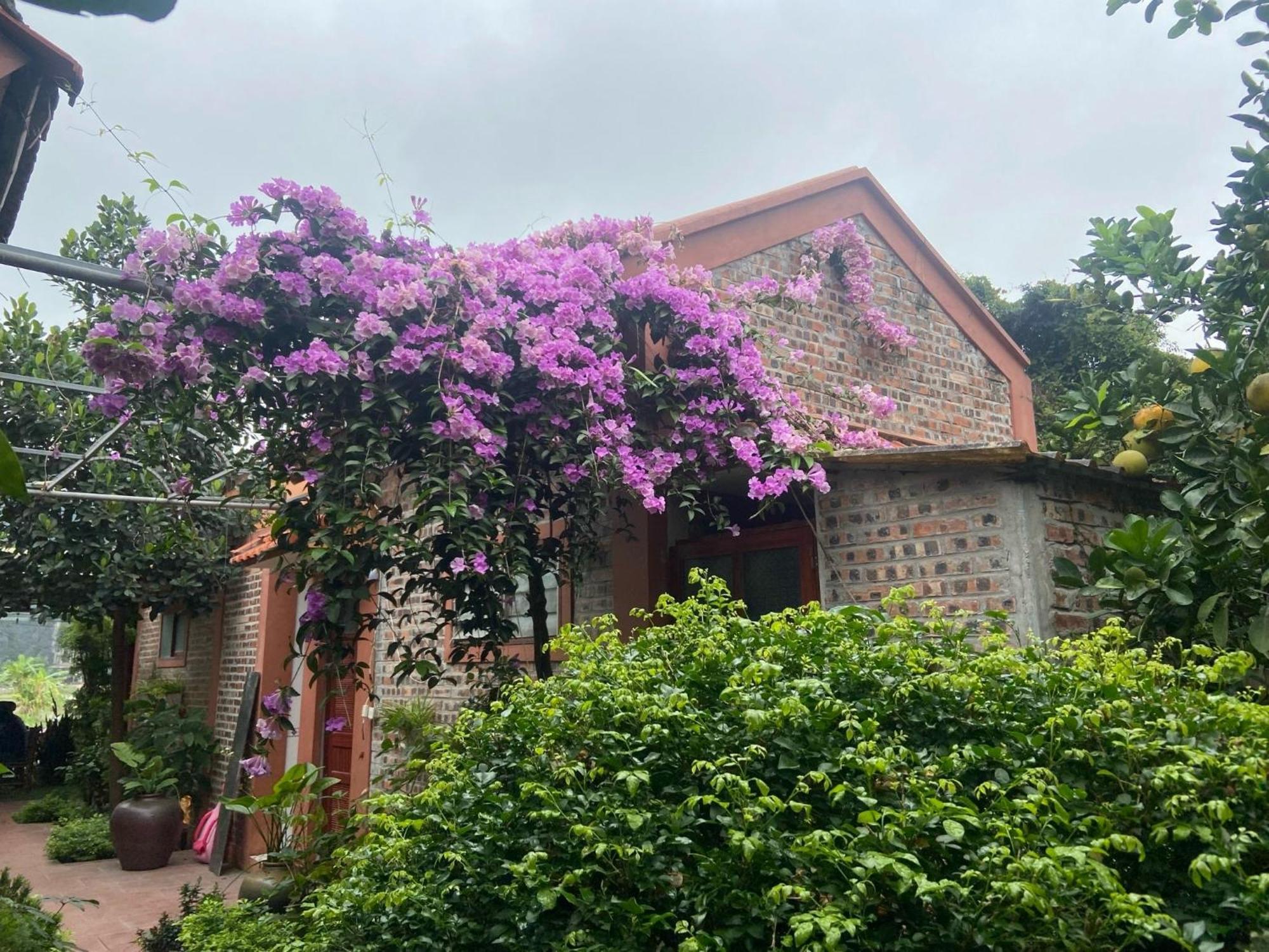 Homestay Tam Coc Mountain View