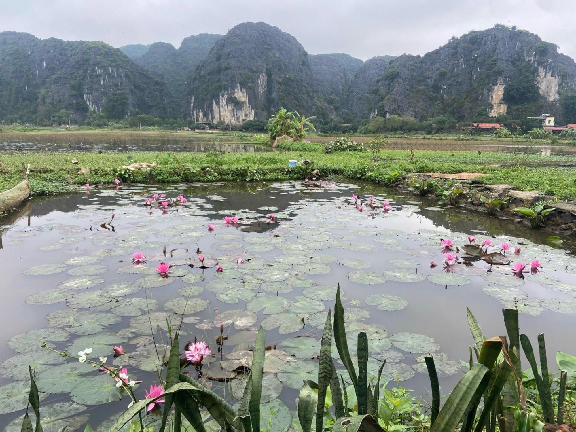 Tam Coc Mountain View Homestay Ninh Binh