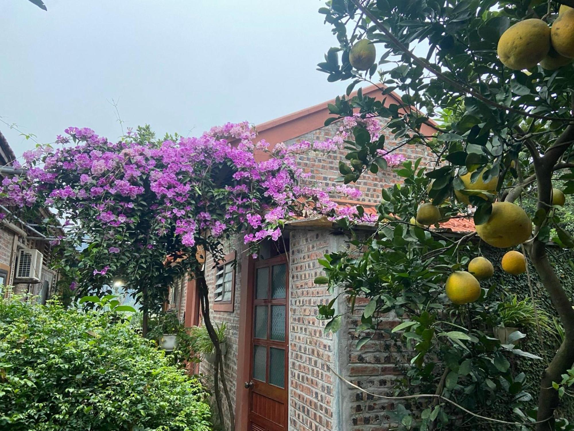 Tam Coc Mountain View Homestay *