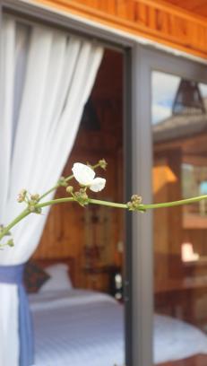 Guest house Nui *