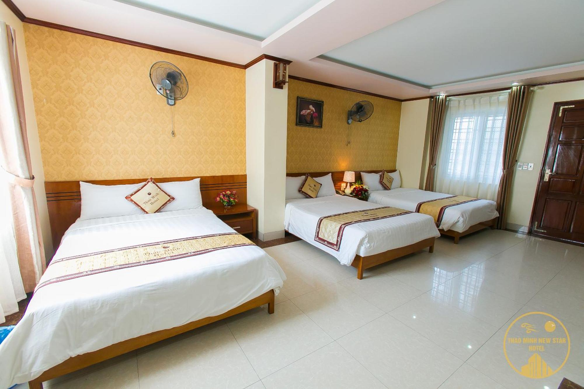 Thao Minh New Star Hotel