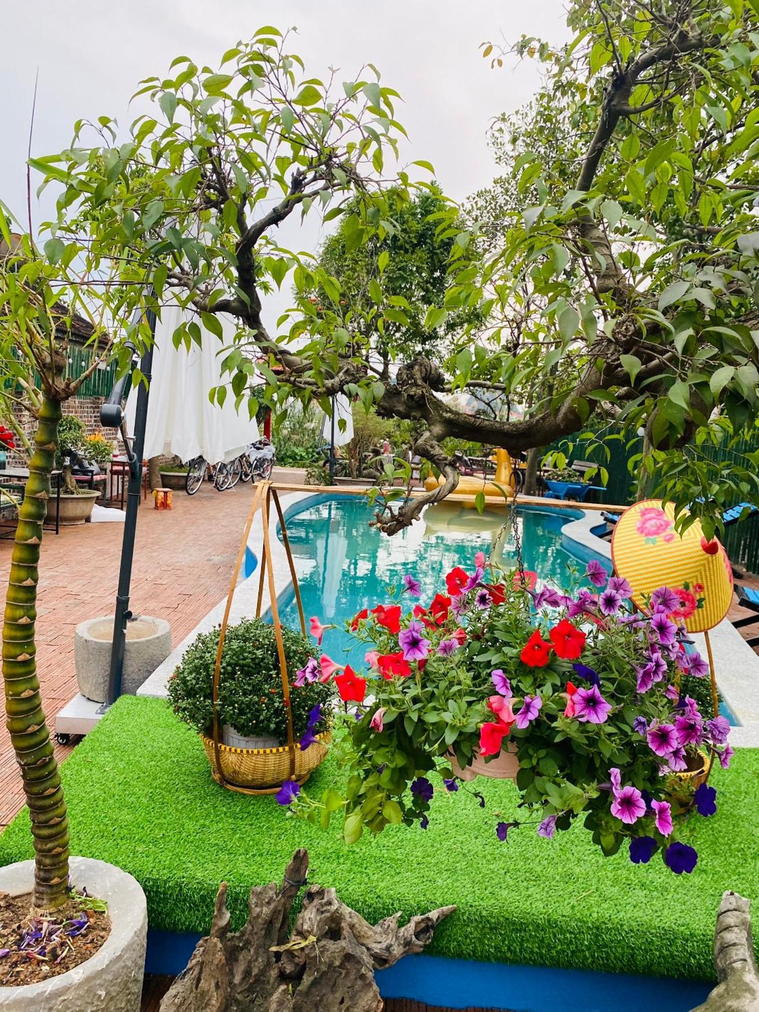 An Tam Coc Hotel Ninh Binh