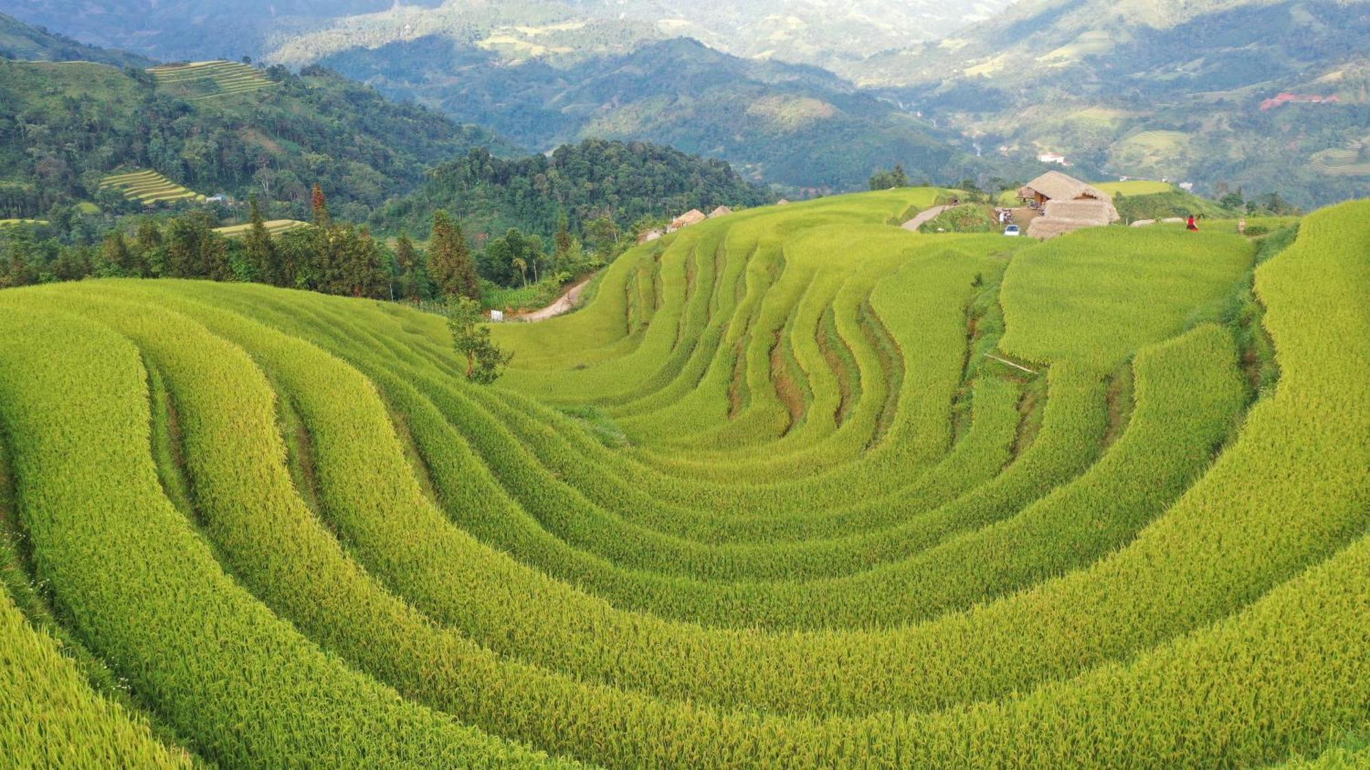 Bed & Breakfast Hoang Su Phi - Mong Ngua